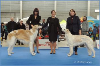 Lovka Bistkupstwo - BOB